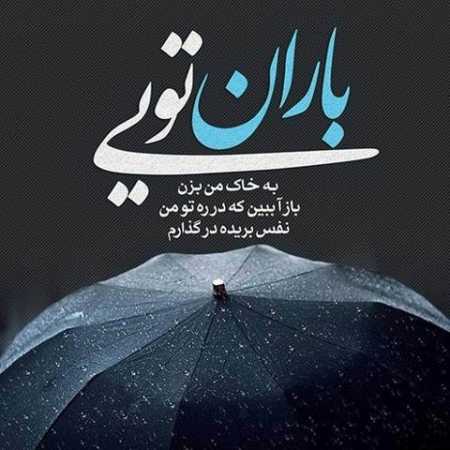 من عاشق صدای بارونم